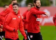 1xbet体育官方登录入口-奥地利、北马其顿动荡不安，欧洲杯参赛门路困难的简单介绍